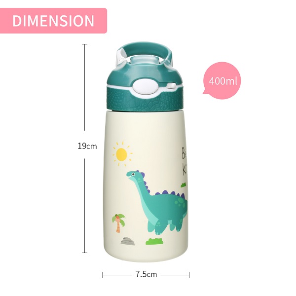 Stainless Steel Water Bottle